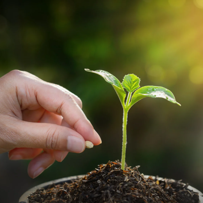 GIAI ĐOẠN GIEO HẠT (4 TUẦN -  3 MODULE)