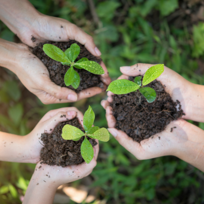 GIAI ĐOẠN NẢY MẦM (8 TUẦN -  8 MODULE)